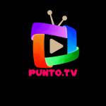 PUNTO HD TV