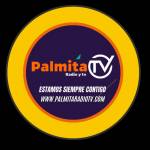 Radio Palmita TV